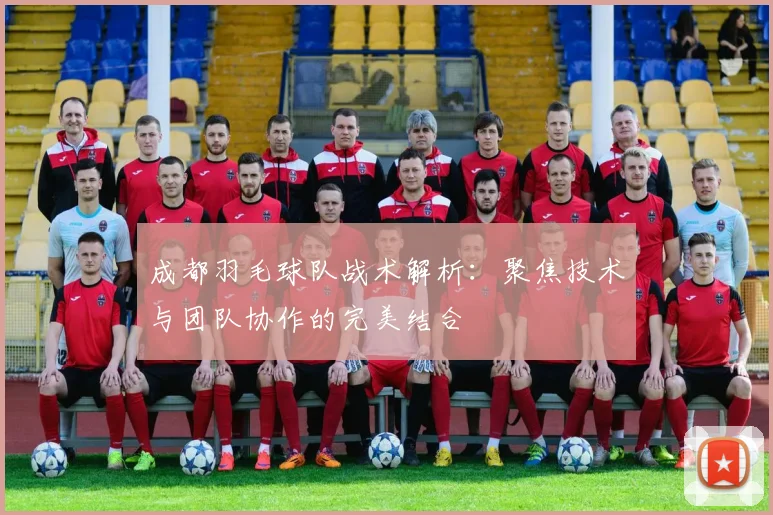 成都羽毛球队战术解析：聚焦技术与团队协作的完美结合