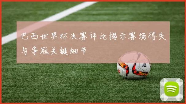 巴西世界杯决赛评论揭示赛场得失与争冠关键细节